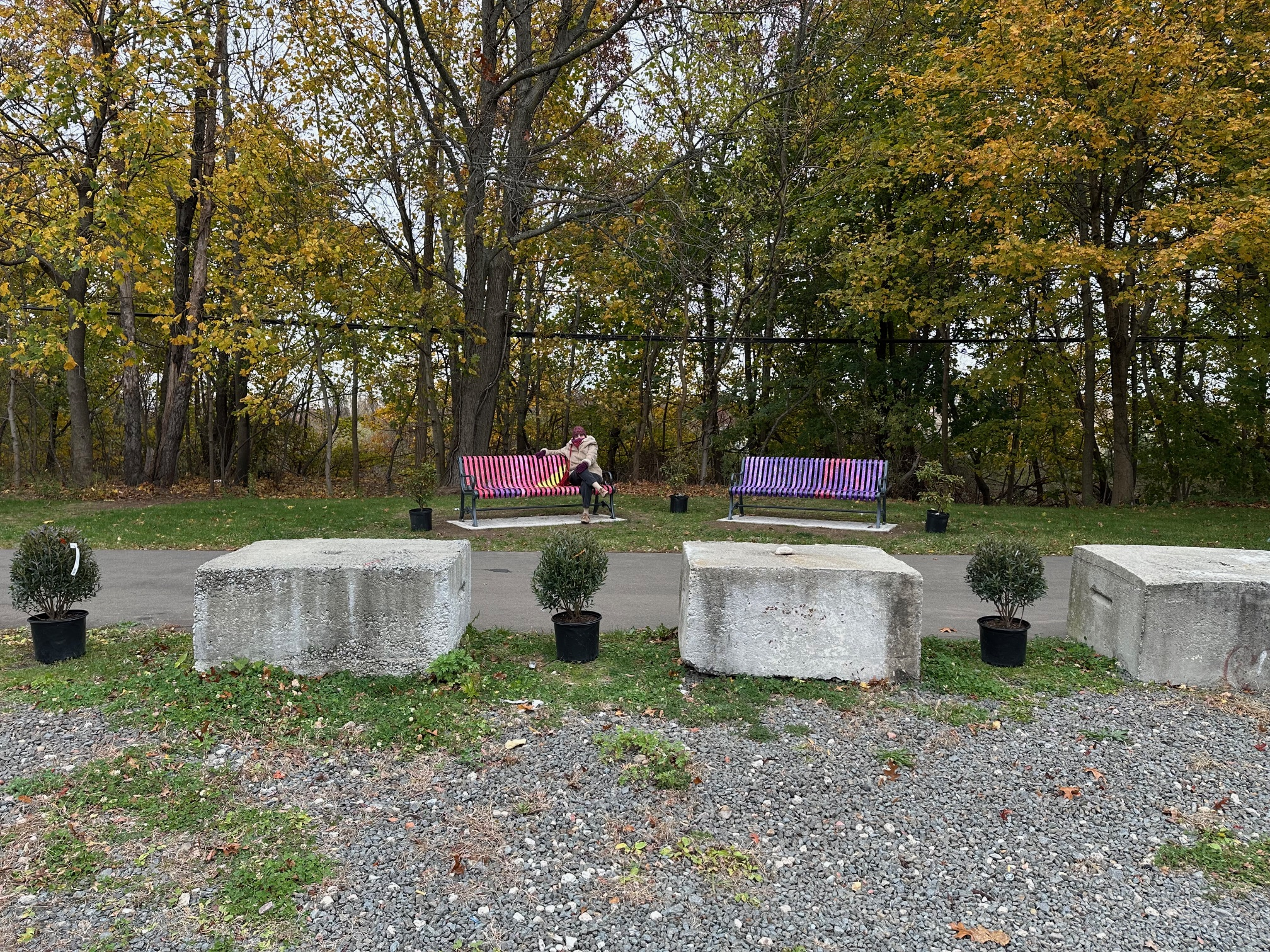 �2025, Patricia C Vener